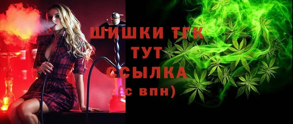 стафф Алзамай