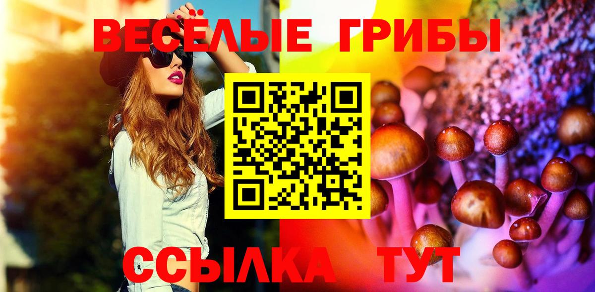 Псилоцибиновые грибы GOLDEN TEACHER Апрелевка